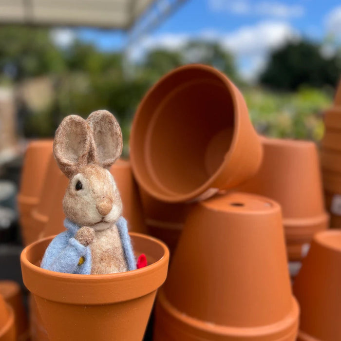 The Crafty Kit Co Beatrix Potter Peter Rabbit and his Pocket Handkerchief Needle Felting Kit