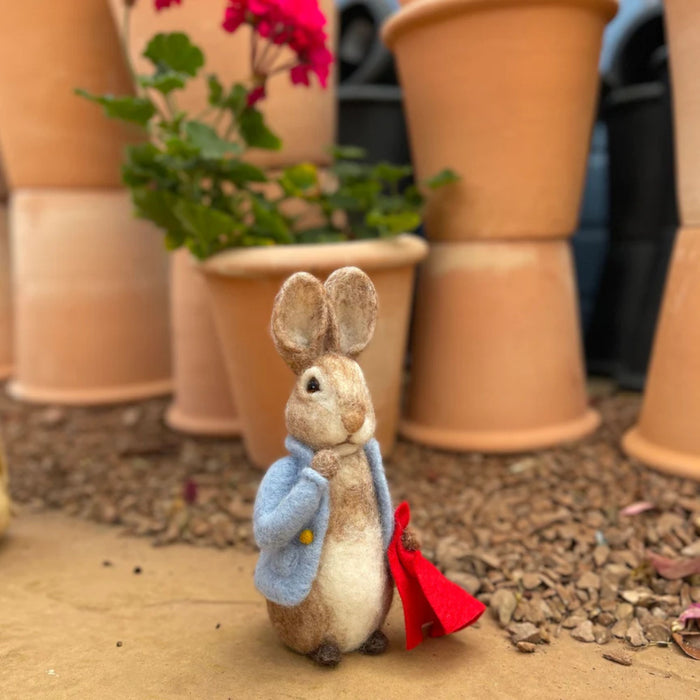 The Crafty Kit Co Beatrix Potter Peter Rabbit and his Pocket Handkerchief Needle Felting Kit