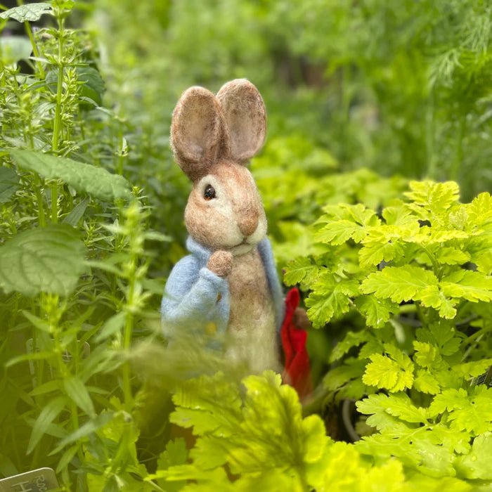 The Crafty Kit Co Beatrix Potter Peter Rabbit and his Pocket Handkerchief Needle Felting Kit