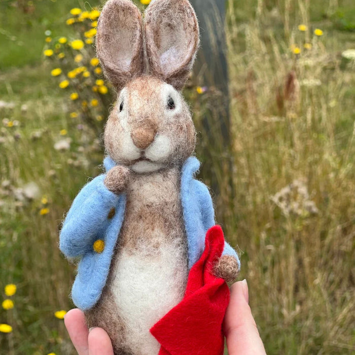 The Crafty Kit Co Beatrix Potter Peter Rabbit and his Pocket Handkerchief Needle Felting Kit