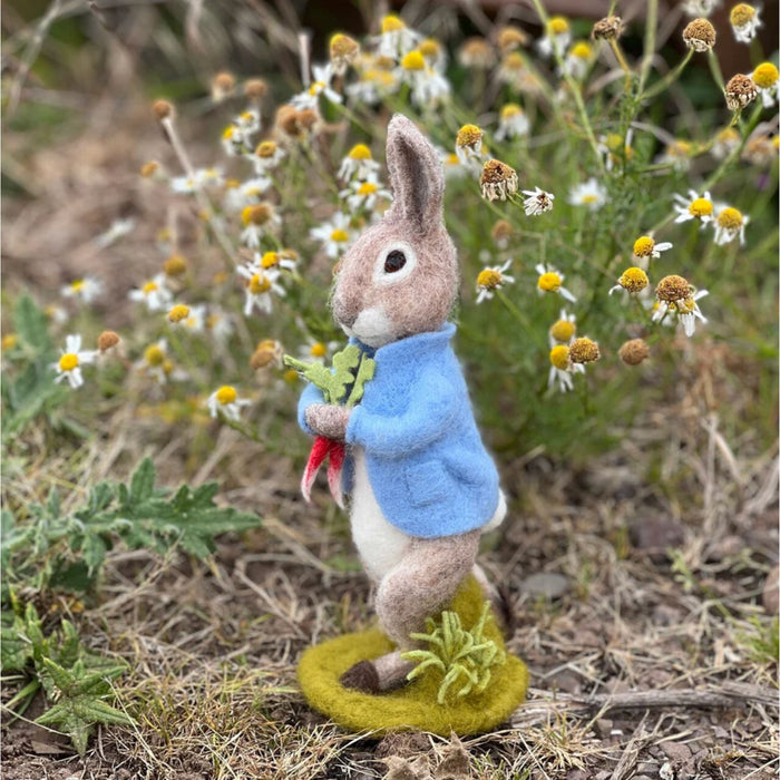 The Crafty Kit Co Beatrix Potter Peter Rabbit and the Stolen Radishes Needle Felting Kit