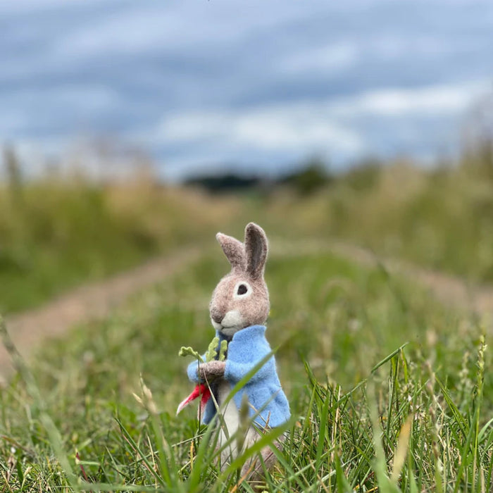 The Crafty Kit Co Beatrix Potter Peter Rabbit and the Stolen Radishes Needle Felting Kit