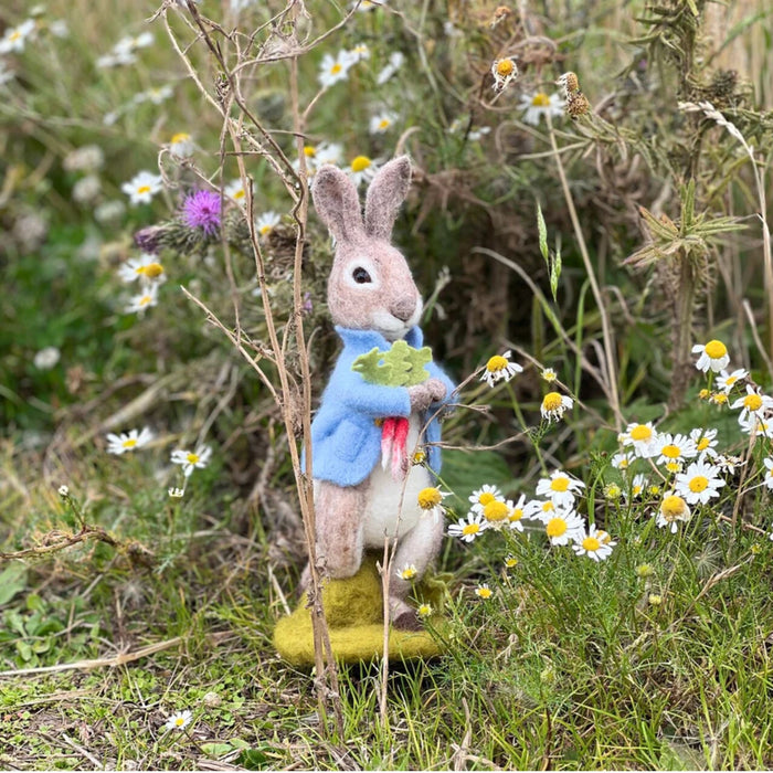 The Crafty Kit Co Beatrix Potter Peter Rabbit and the Stolen Radishes Needle Felting Kit