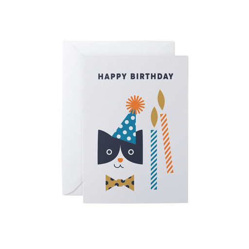  a Birthday Card - Party Cat