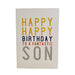  a Fantastic Son Birthday Card