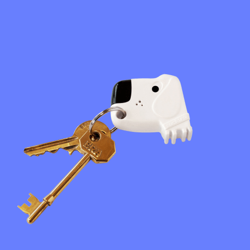 Fetch My Keys Keyring