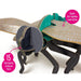 This easy to assemble Mini Build Dragonfly uses slot together techniques – there’s no glue, no mess, no fuss. Everything you need is provided in the kit – simply follow the included instructions: press out the pre-cut parts, build and play! Made using 100% sustainable cardboard and paper. 20-minute build time. Skill level rating: 2 stars out of 5. 15 press out parts. Designed in the UK. 37 cm wingspan. Age 8+.