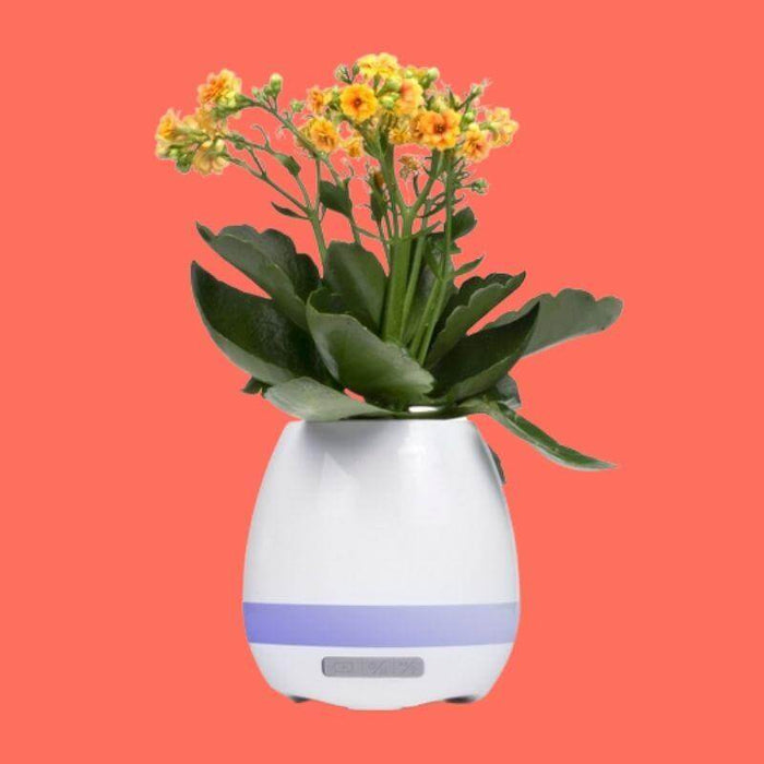 Magnum Brands Music Playing Wireless Plant Pot Speaker