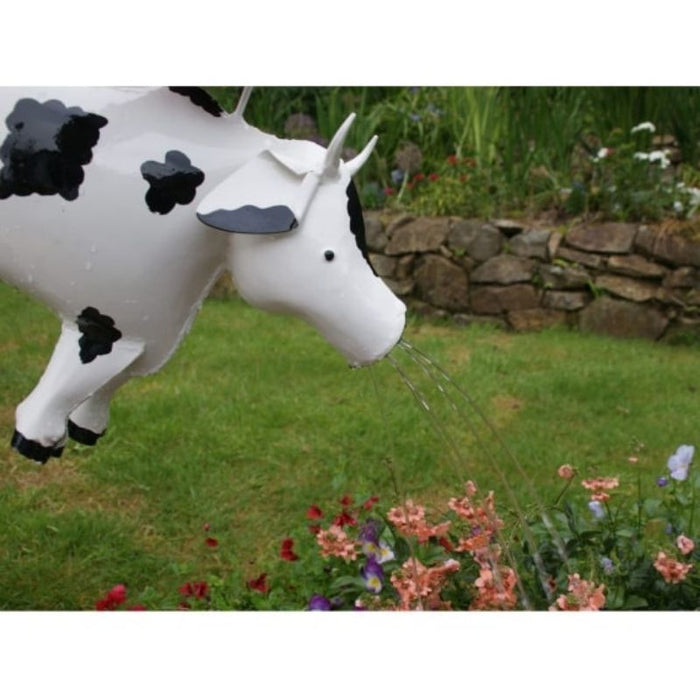 Cow Watering Can