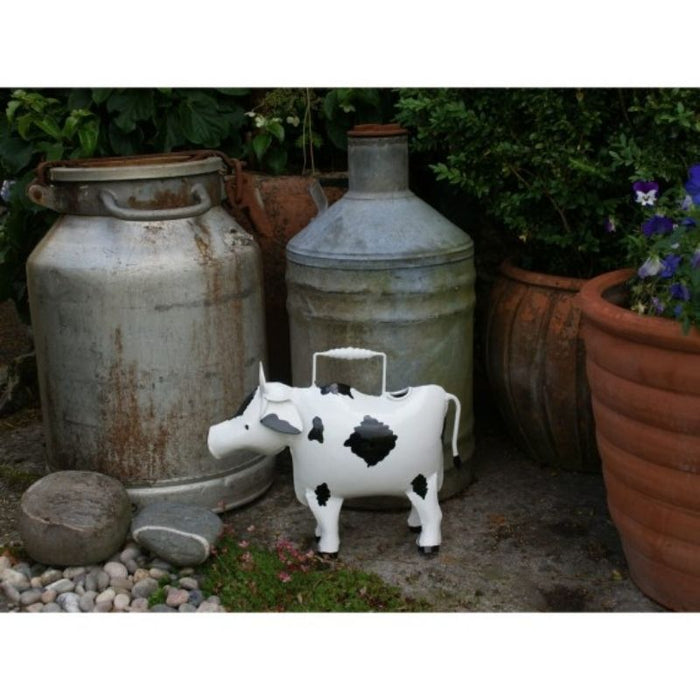 Cow Watering Can