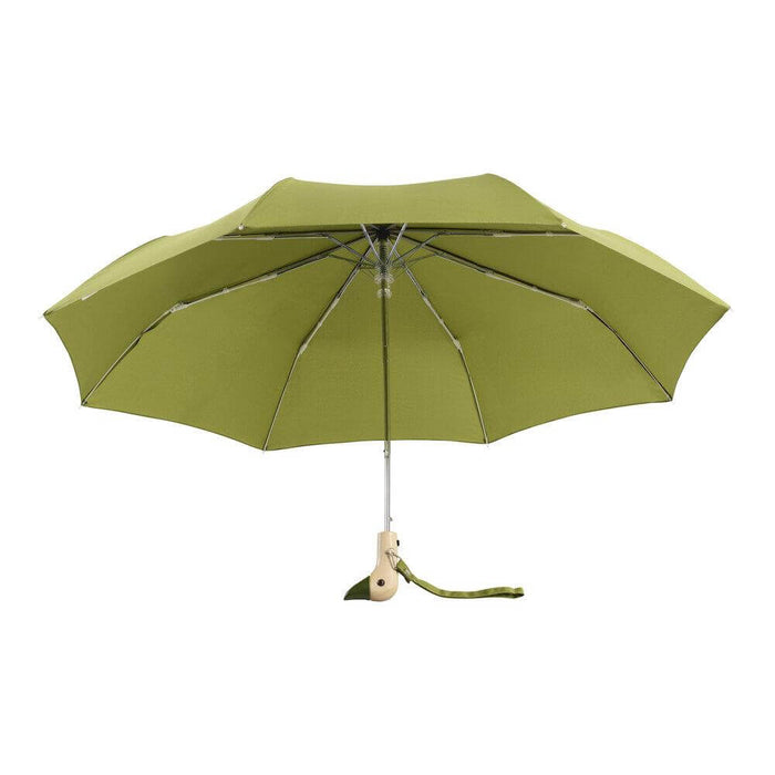 image of an open olive coloured umbrella