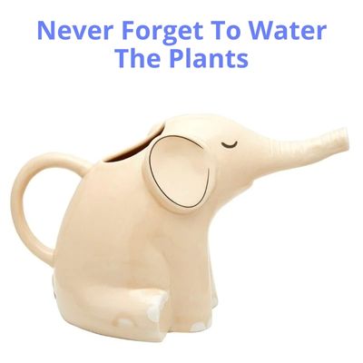 Elephant Watering Can